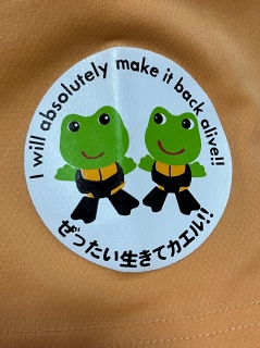 ߂Ⴍǂ